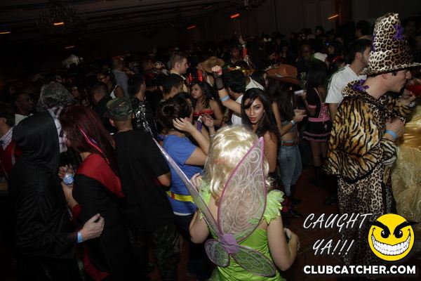 The Sheraton Hotel party venue photo 451 - October 29th, 2011