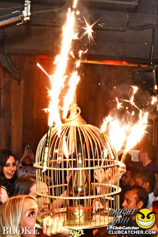 Bloke nightclub photo 130 - May 15th, 2015