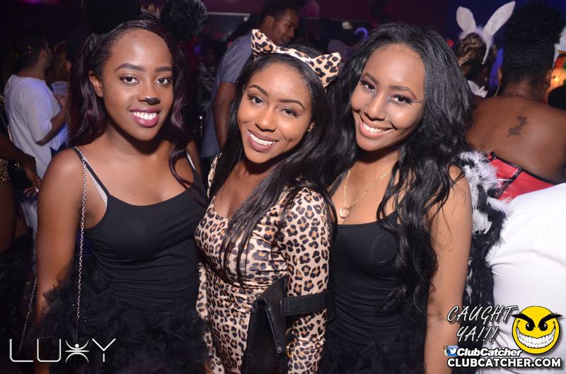 Luxy nightclub photo 140 - October 30th, 2015