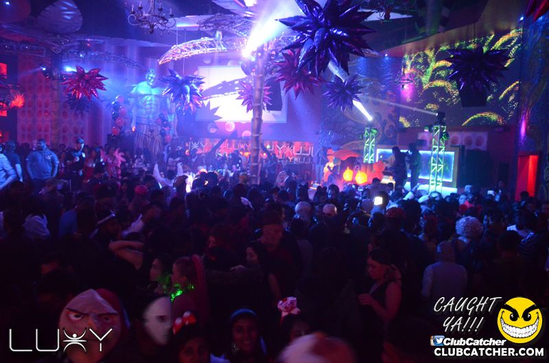 Luxy nightclub photo 1 - October 31st, 2015