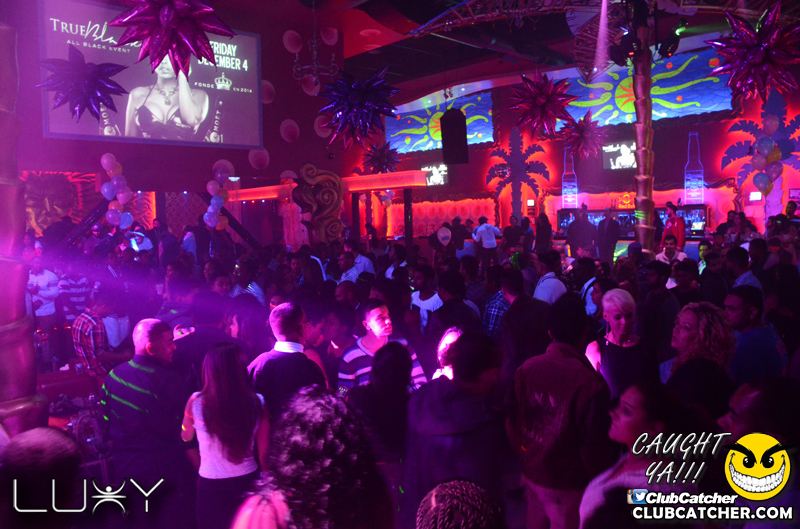 Luxy nightclub photo 153 - November 21st, 2015