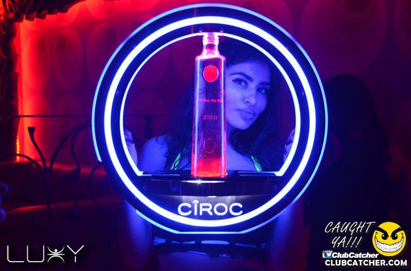 Luxy nightclub photo 2 - November 27th, 2015