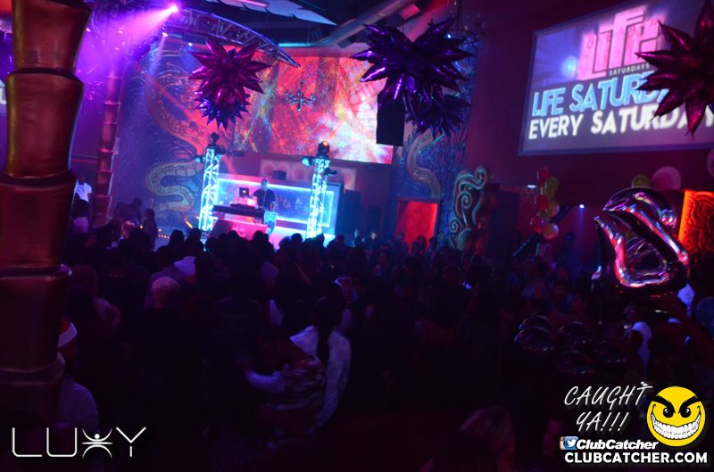 Luxy nightclub photo 81 - December 11th, 2015
