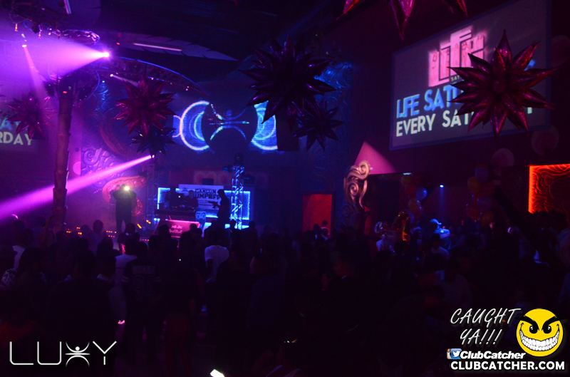 Luxy nightclub photo 175 - December 18th, 2015