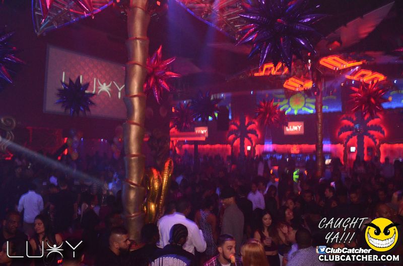Luxy nightclub photo 21 - December 19th, 2015