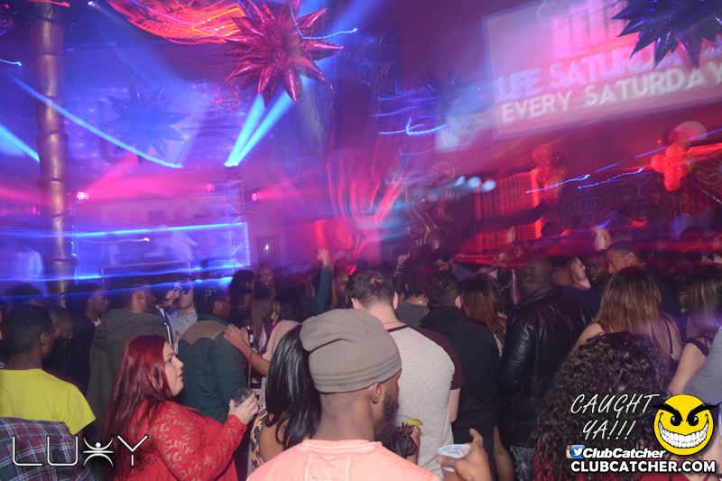 Luxy nightclub photo 101 - January 9th, 2016