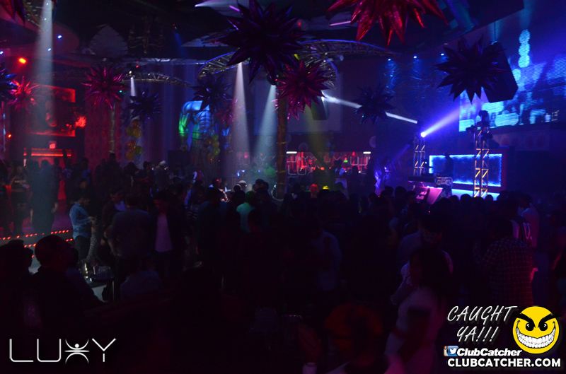 Luxy nightclub photo 119 - January 16th, 2016