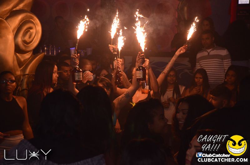 Luxy nightclub photo 211 - January 22nd, 2016