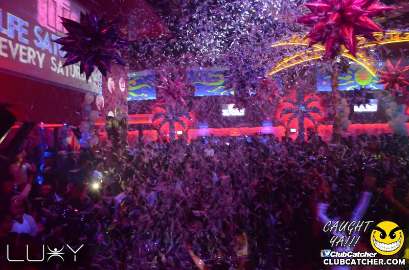 Luxy nightclub photo 55 - January 22nd, 2016
