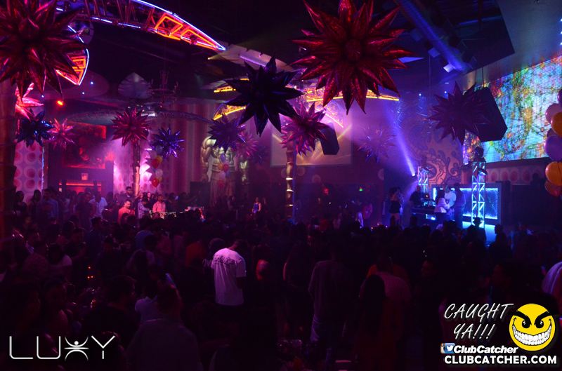 Luxy nightclub photo 1 - January 29th, 2016