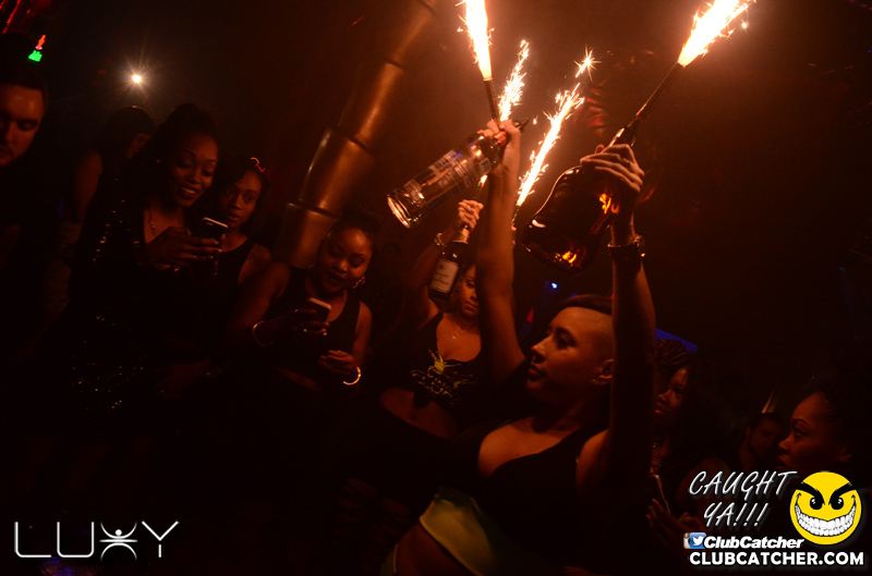 Luxy nightclub photo 8 - January 29th, 2016