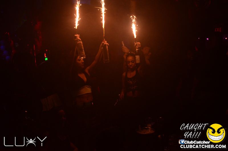 Luxy nightclub photo 21 - January 30th, 2016