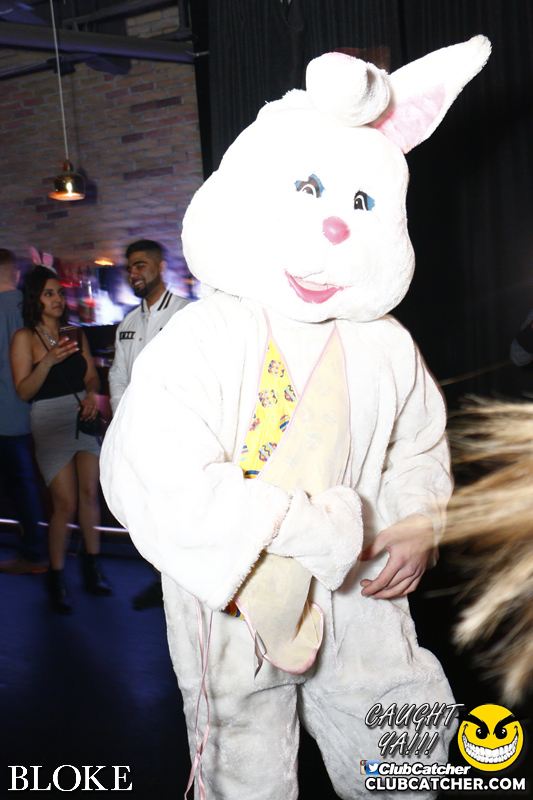 Bloke nightclub photo 19 - March 26th, 2016