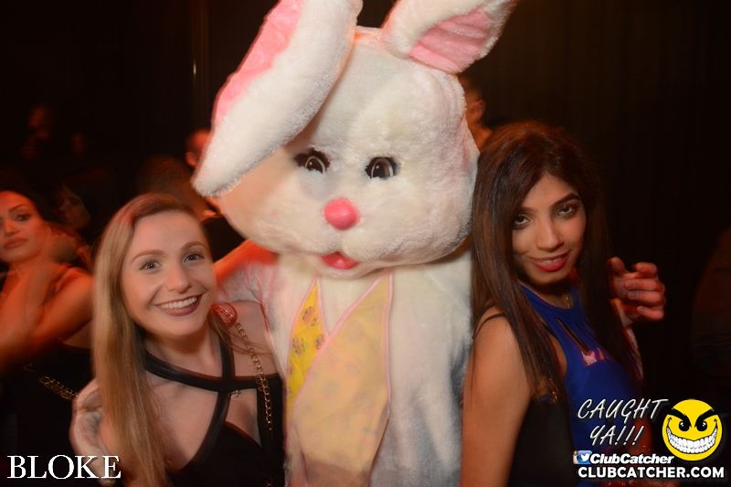 Bloke nightclub photo 64 - March 26th, 2016