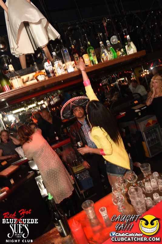 Blue Suede Sues nightclub photo 114 - May 5th, 2016