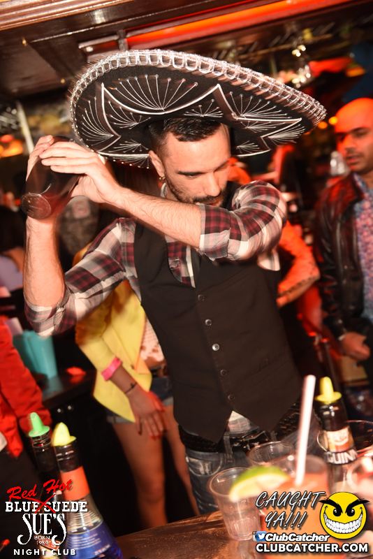 Blue Suede Sues nightclub photo 234 - May 5th, 2016