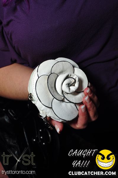 Tryst nightclub photo 336 - March 27th, 2011