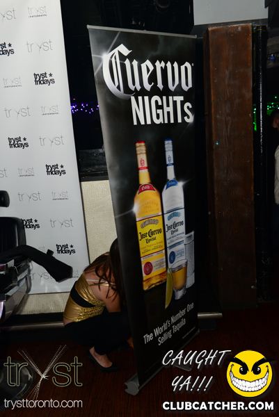 Tryst nightclub photo 213 - November 30th, 2012
