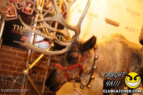 Tryst nightclub photo 8 - December 22nd, 2012