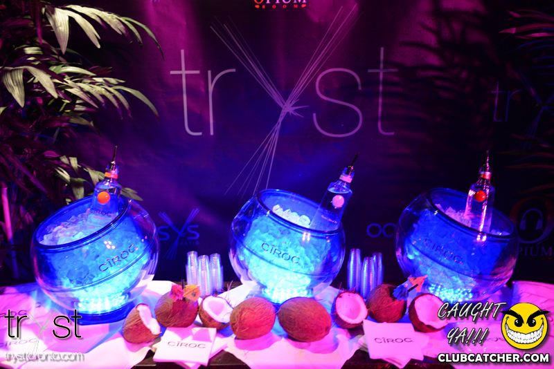 Tryst nightclub photo 276 - June 14th, 2014