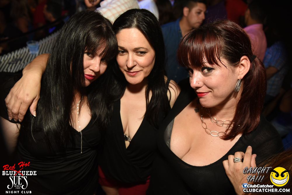 Blue Suede Sues nightclub photo 109 - August 6th, 2016