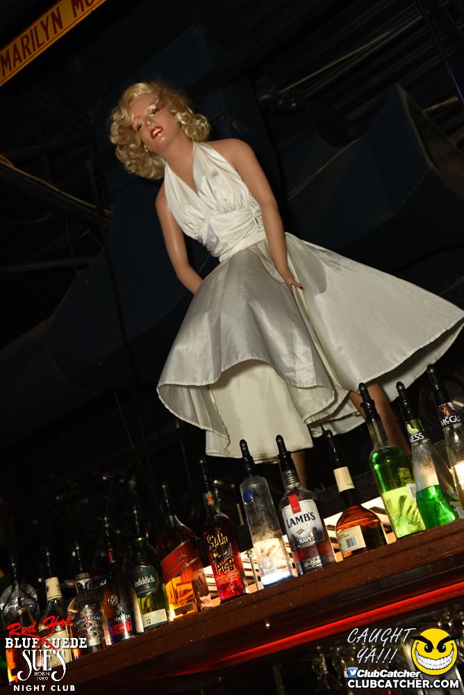 Blue Suede Sues nightclub photo 218 - August 6th, 2016