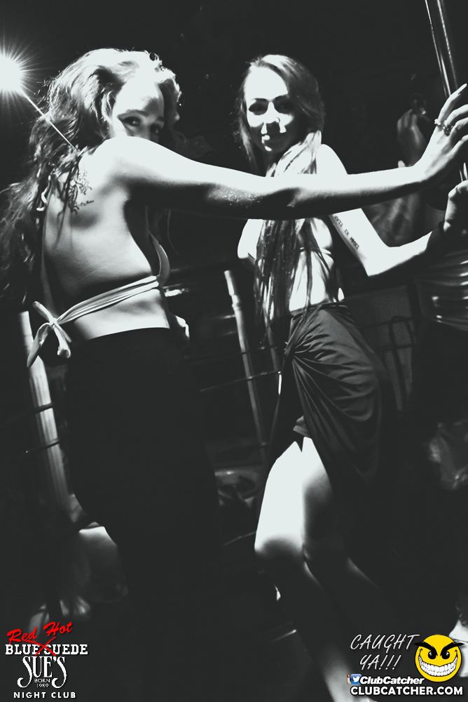 Blue Suede Sues nightclub photo 67 - August 6th, 2016