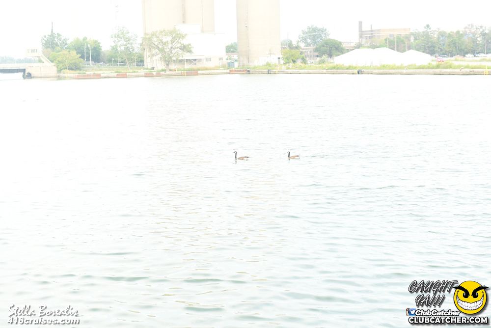 Stella Borealis party venue photo 236 - August 20th, 2016