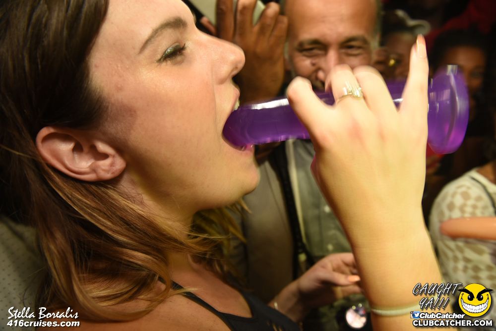 Stella Borealis party venue photo 324 - August 20th, 2016