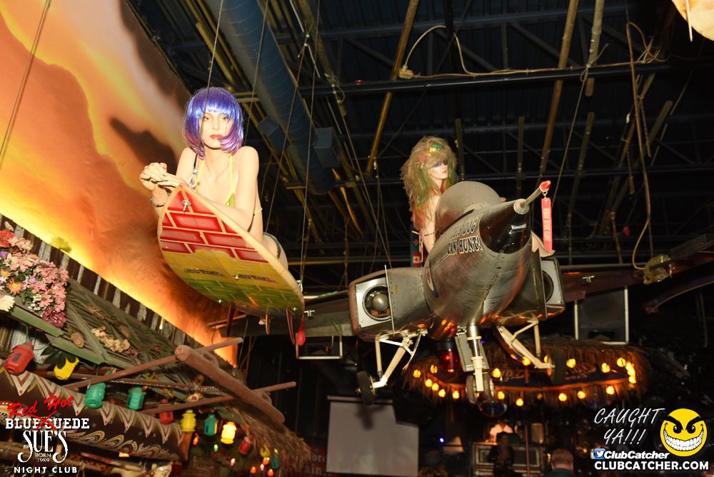 Blue Suede Sues nightclub photo 26 - August 26th, 2016