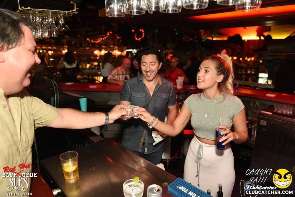 Blue Suede Sues nightclub photo 46 - August 26th, 2016