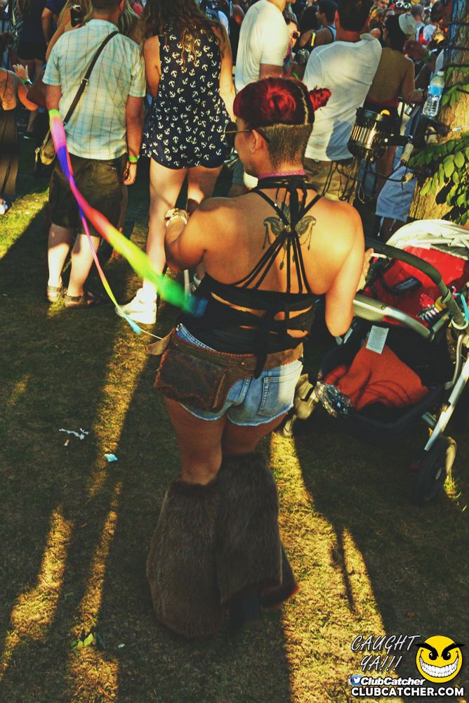 Electric Island festival photo 200 - September 5th, 2016