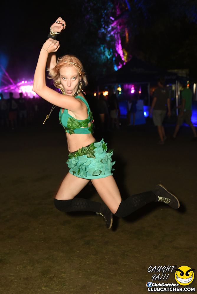 Electric Island festival photo 3 - September 5th, 2016