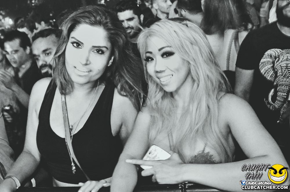 Electric Island festival photo 286 - September 5th, 2016