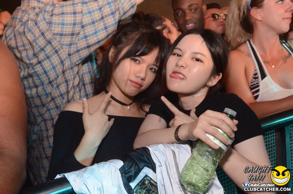 Electric Island festival photo 318 - September 5th, 2016