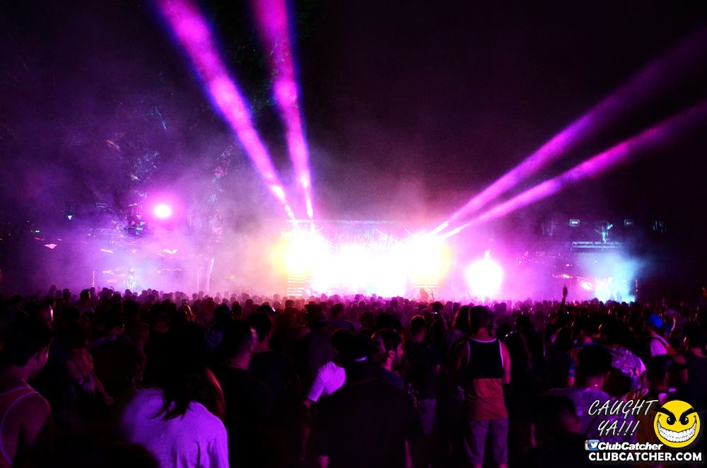 Electric Island festival photo 349 - September 5th, 2016