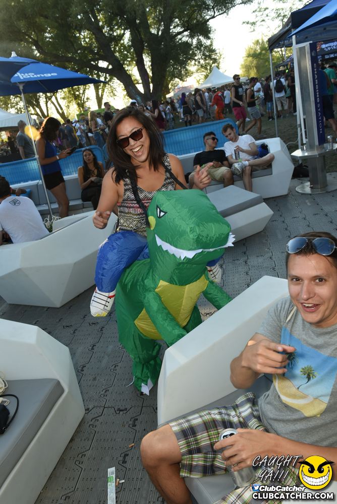 Electric Island festival photo 495 - September 5th, 2016