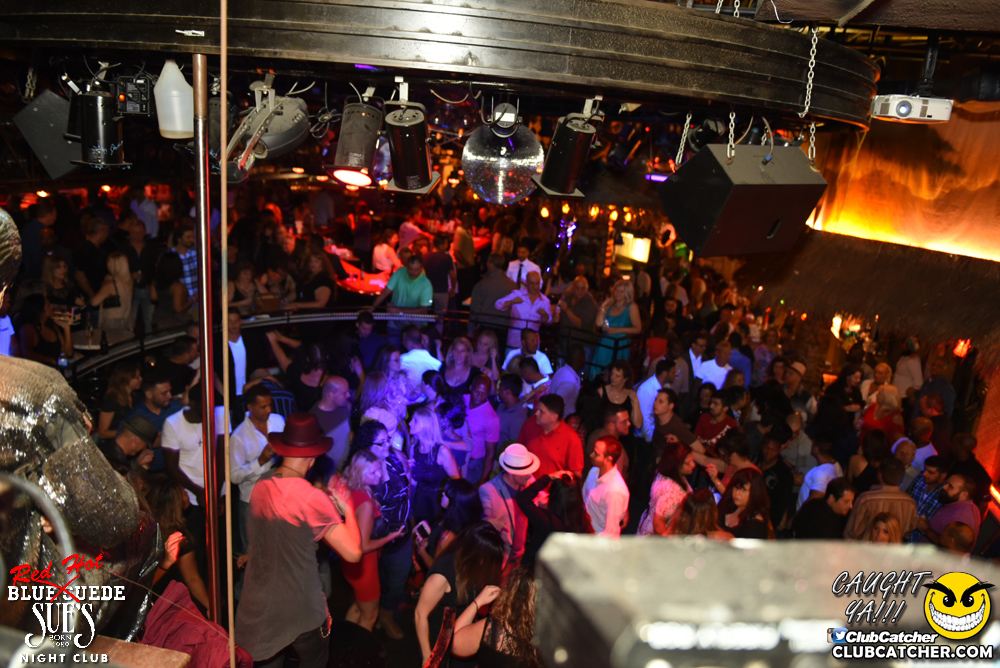 Blue Suede Sues nightclub photo 151 - September 16th, 2016