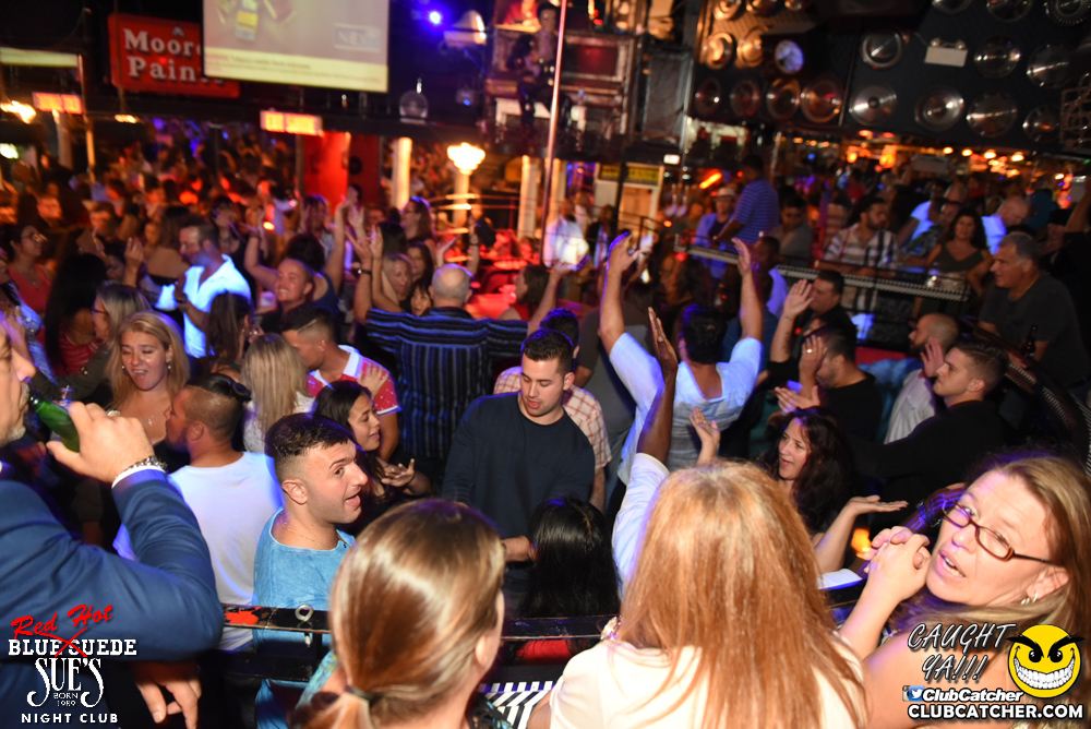 Blue Suede Sues nightclub photo 192 - September 16th, 2016