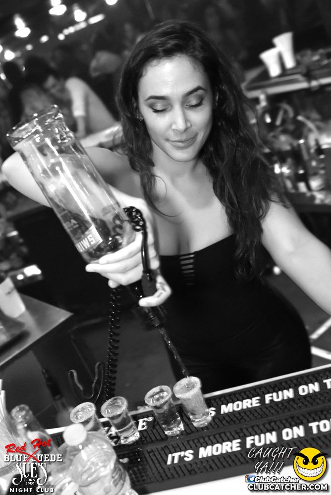 Blue Suede Sues nightclub photo 145 - September 30th, 2016