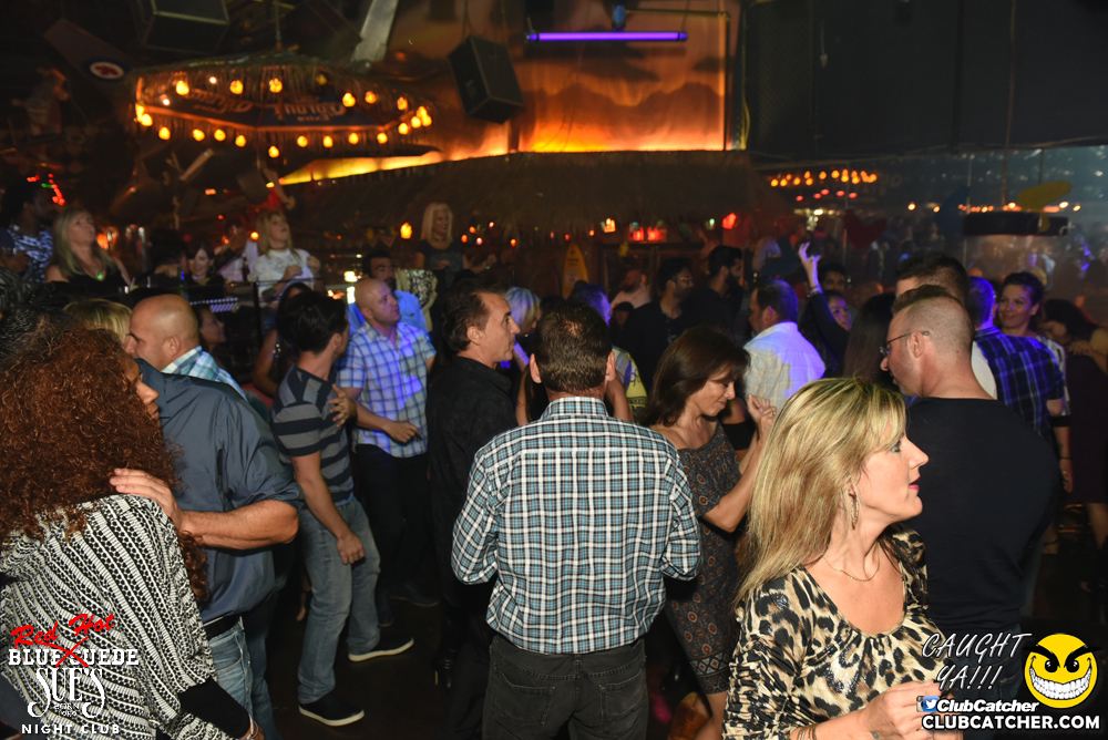 Blue Suede Sues nightclub photo 54 - September 30th, 2016