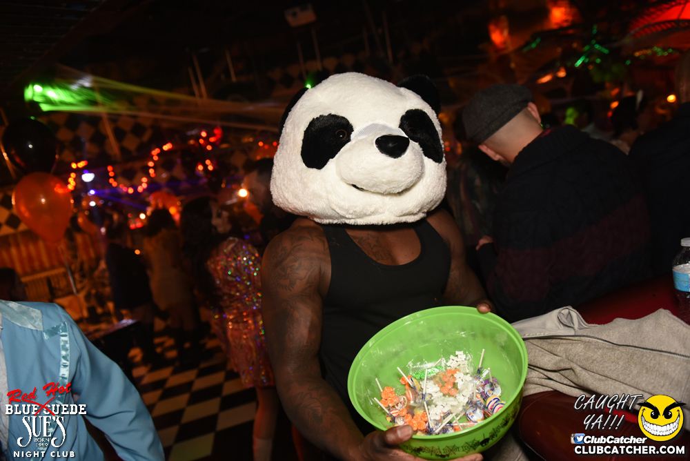 Blue Suede Sues nightclub photo 106 - October 28th, 2016