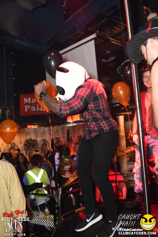 Blue Suede Sues nightclub photo 191 - October 28th, 2016