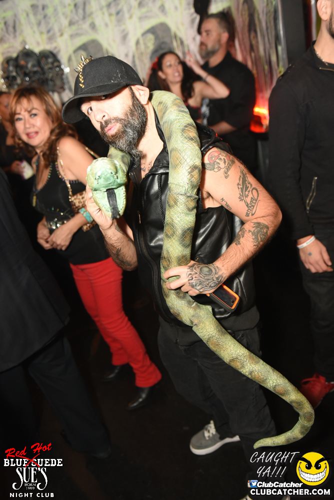 Blue Suede Sues nightclub photo 26 - October 28th, 2016