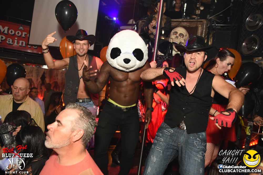 Blue Suede Sues nightclub photo 291 - October 28th, 2016
