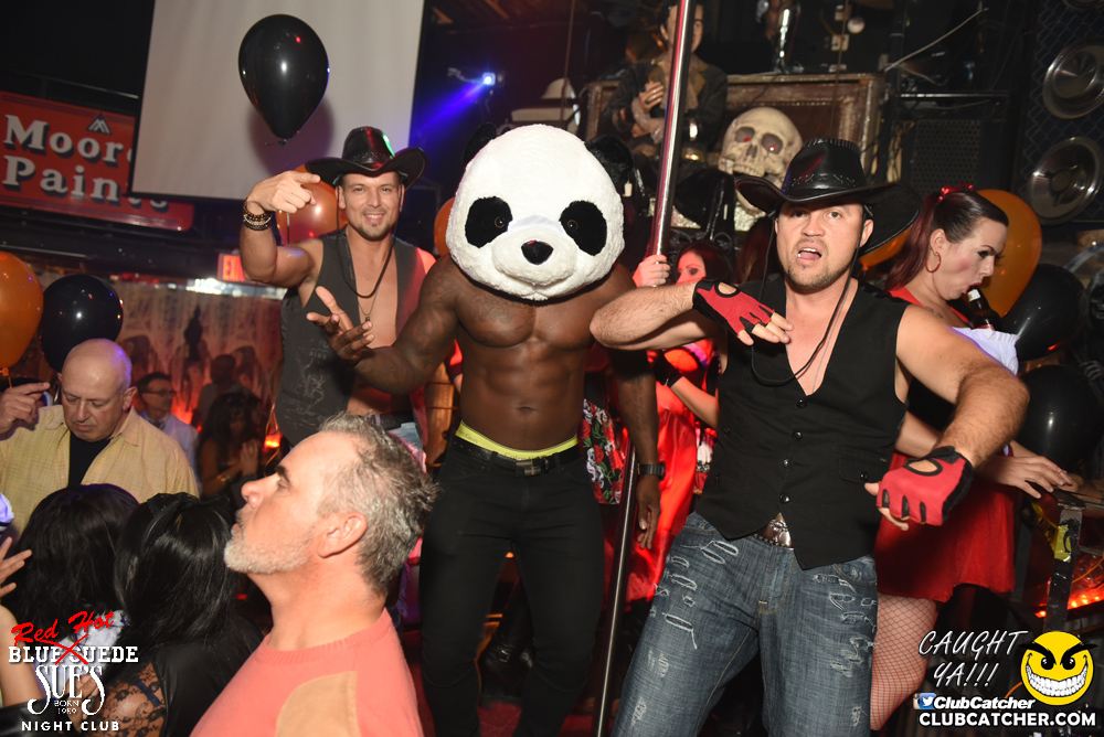 Blue Suede Sues nightclub photo 59 - October 28th, 2016