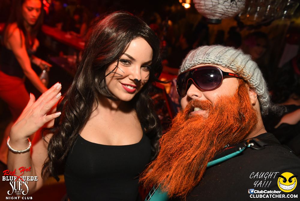 Blue Suede Sues nightclub photo 66 - October 28th, 2016