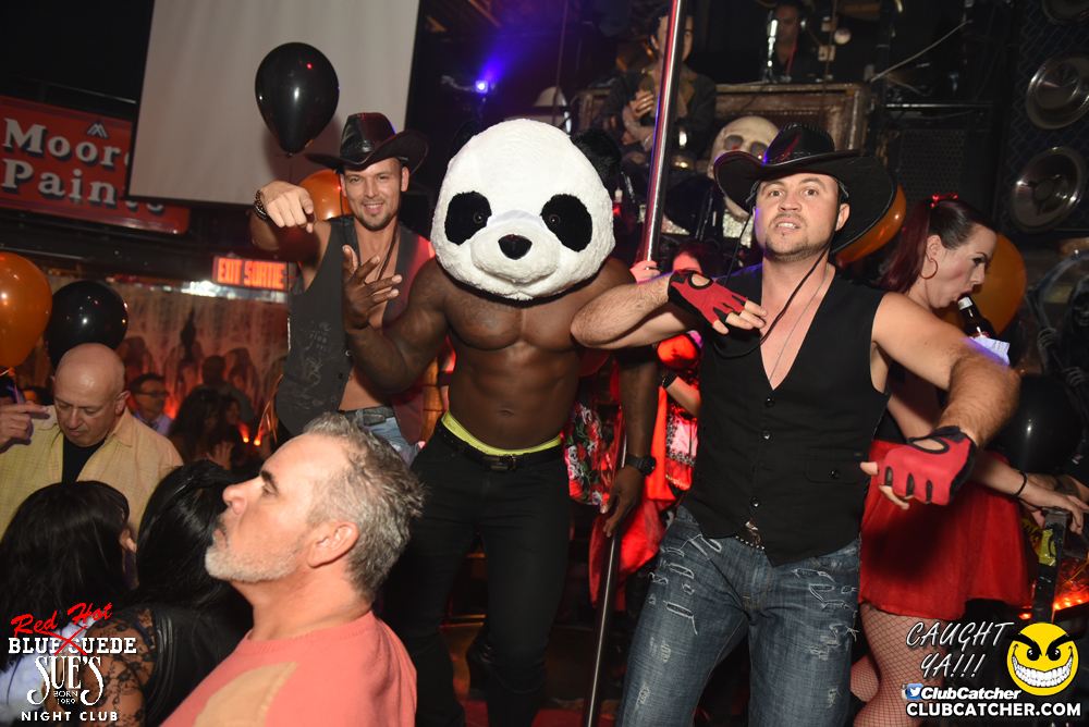 Blue Suede Sues nightclub photo 79 - October 28th, 2016