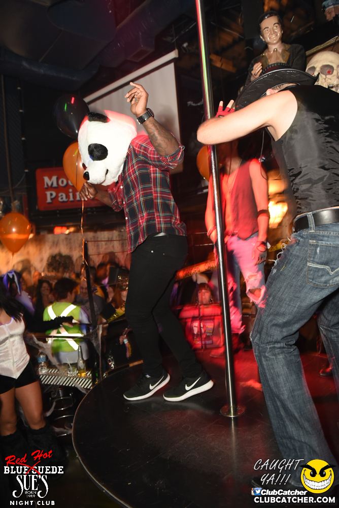 Blue Suede Sues nightclub photo 86 - October 28th, 2016