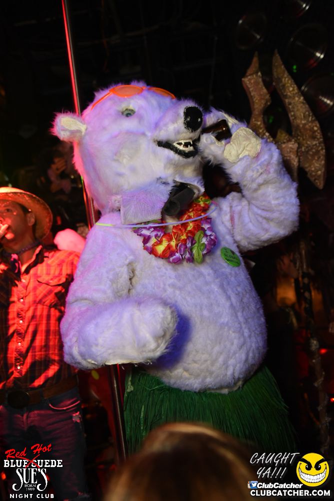 Blue Suede Sues nightclub photo 12 - October 29th, 2016